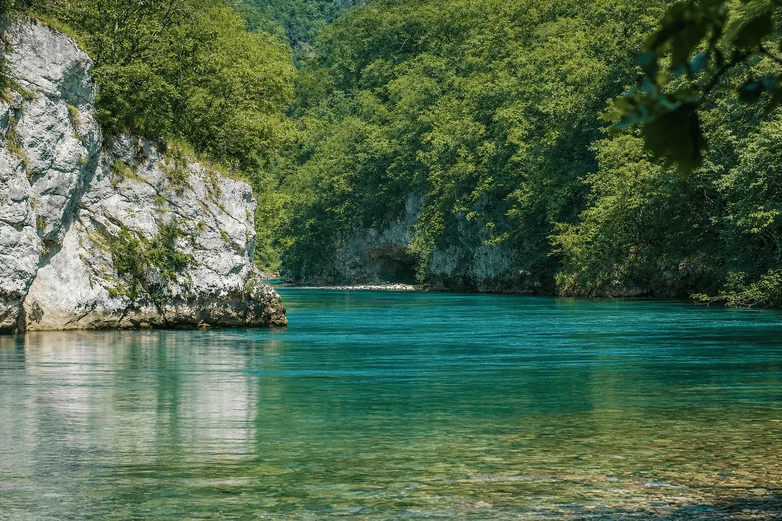Тара — тиркизна вода ријеке у кањону, кречњачке стијене и шума